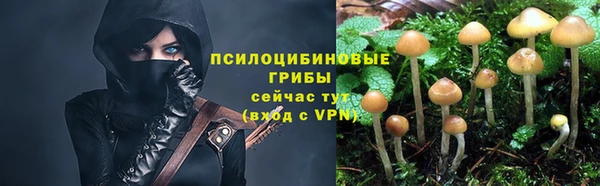mdpv Абинск