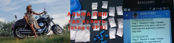 ПСИЛОЦИБИНОВЫЕ ГРИБЫ Абаза
