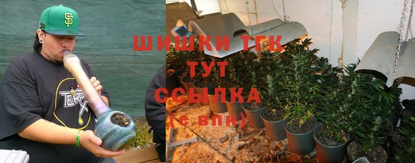 ПСИЛОЦИБИНОВЫЕ ГРИБЫ Абаза