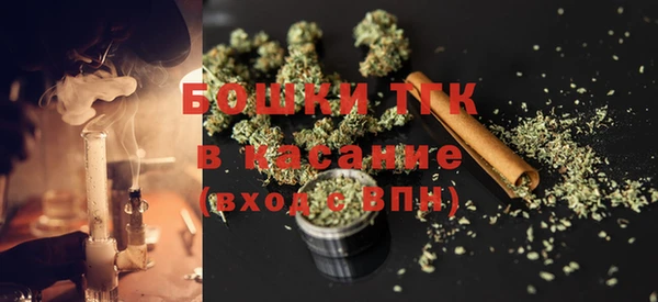 ПСИЛОЦИБИНОВЫЕ ГРИБЫ Абаза